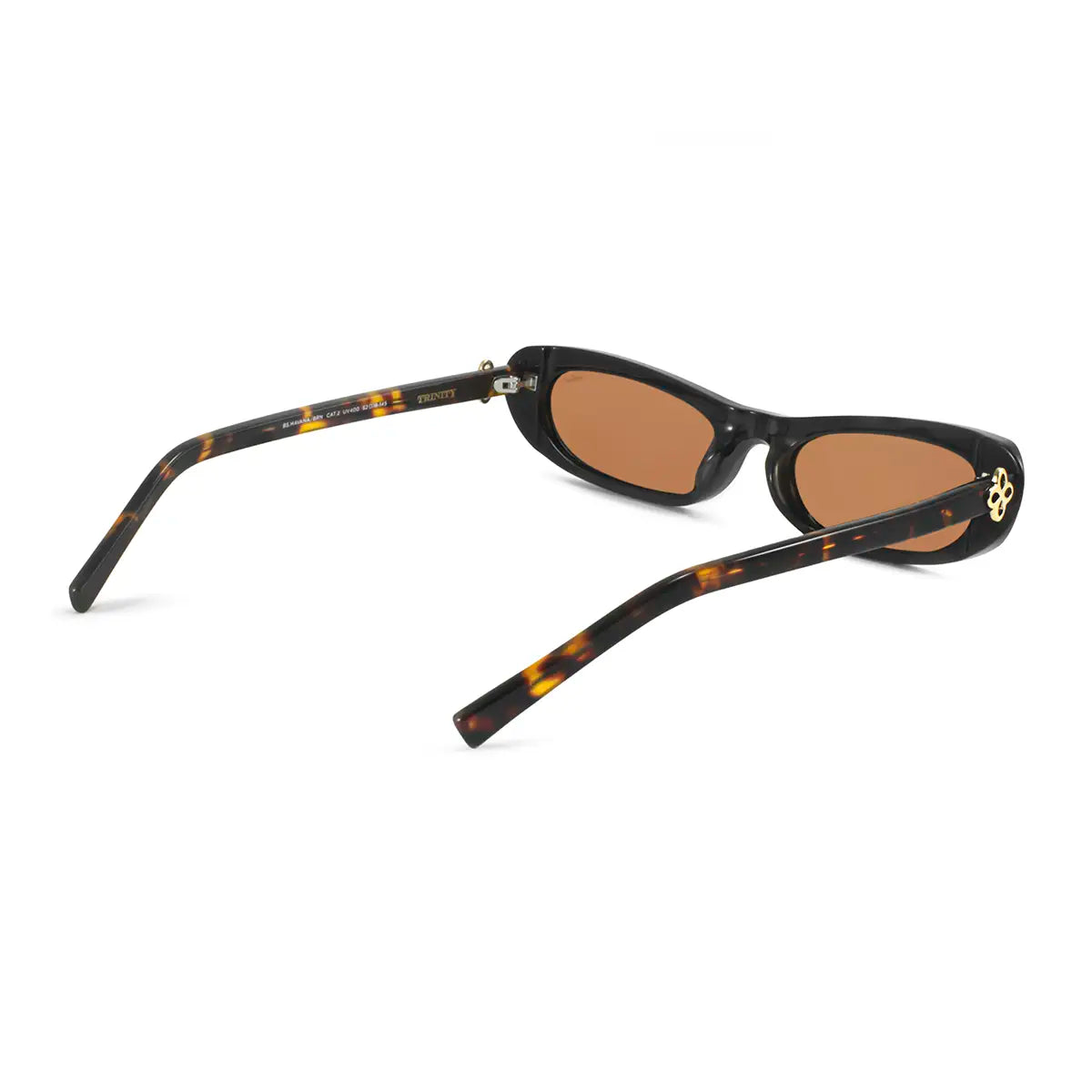 Trinity Negro Carey Lente Marron