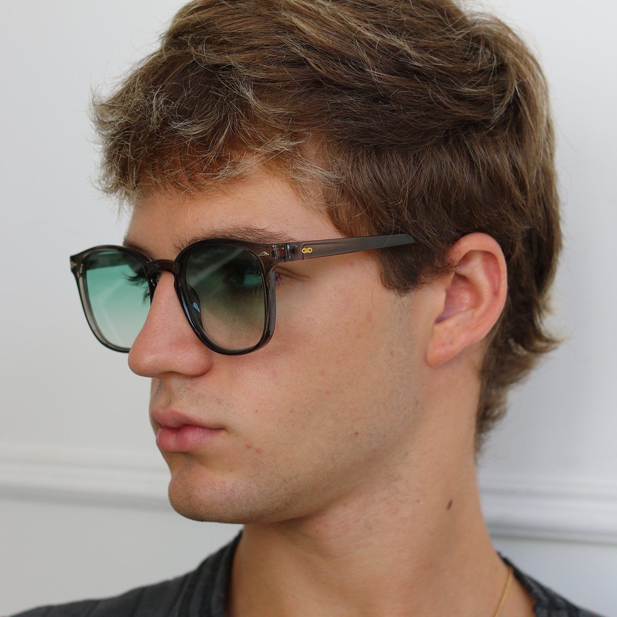 Xenote Translucido Gris Lente Verde Degrade